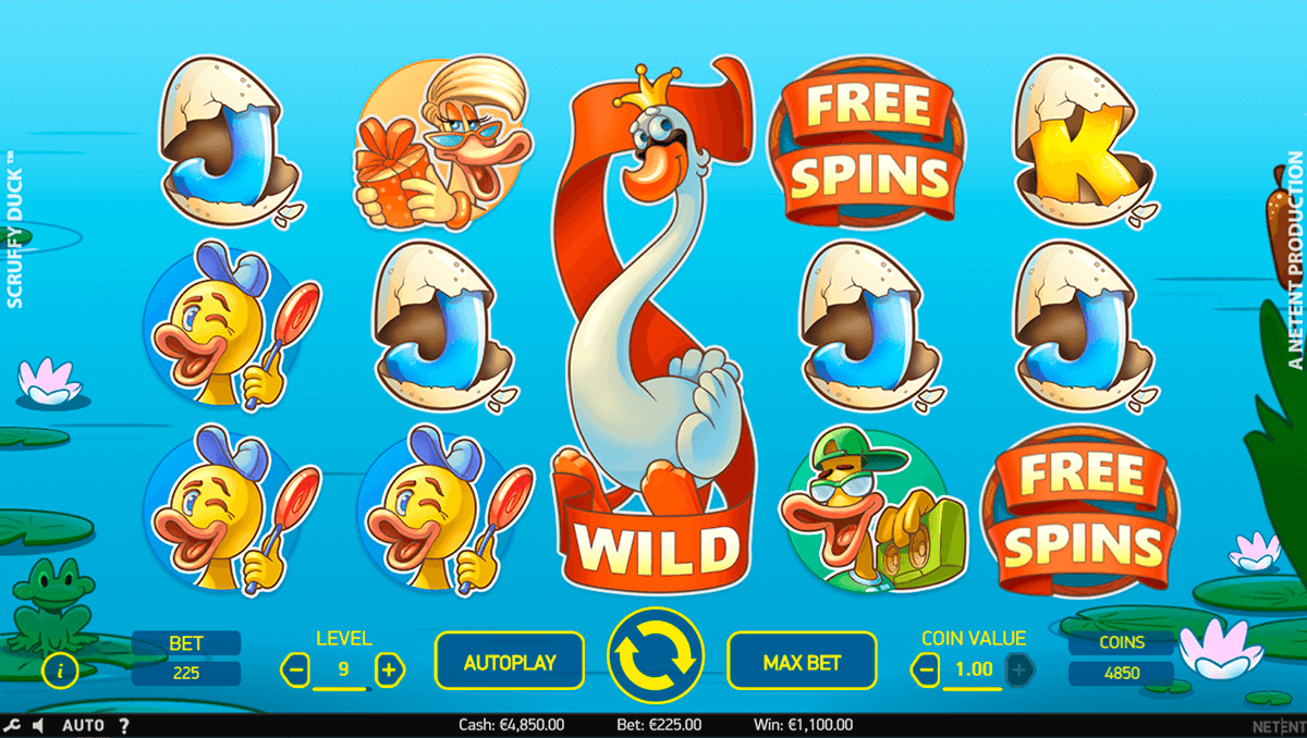 scruffy duck netent jogo casino online