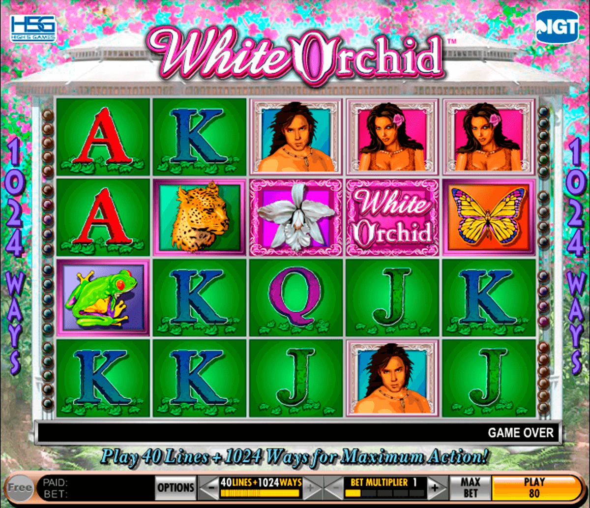 white orchid igt jogo casino online 