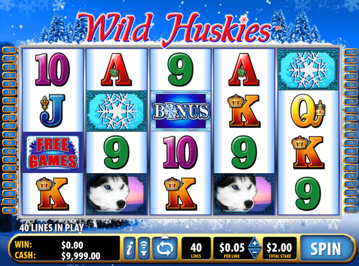 wild huskies bally jogo casino online 